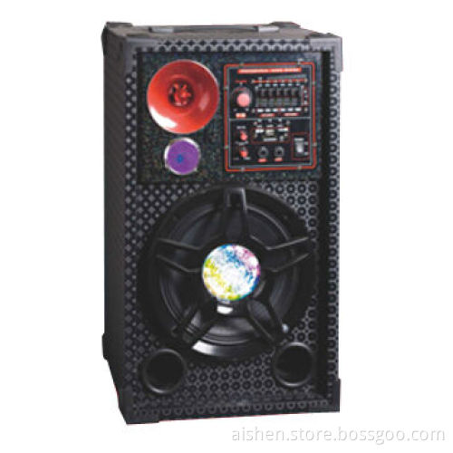 Stage Speakers with USB/SD/FM